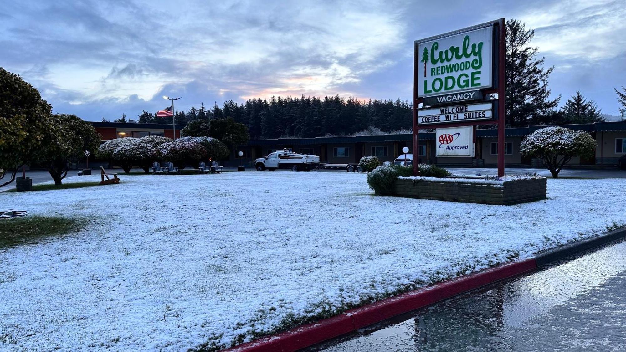 Curly Redwood Lodge Crescent City Exterior photo